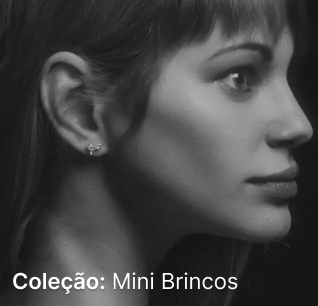 Lançamento: Mini Brincos